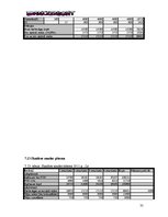 Biznesa plāns 'SIA "DanceToNight"', 34.