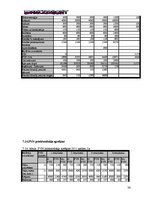 Biznesa plāns 'SIA "DanceToNight"', 35.