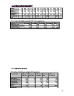 Biznesa plāns 'SIA "DanceToNight"', 36.