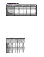 Biznesa plāns 'SIA "DanceToNight"', 40.