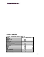 Biznesa plāns 'SIA "DanceToNight"', 42.