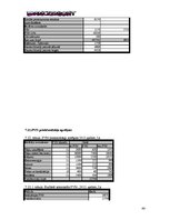 Biznesa plāns 'SIA "DanceToNight"', 43.