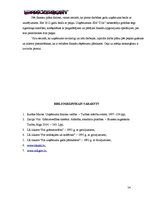 Biznesa plāns 'SIA "DanceToNight"', 53.