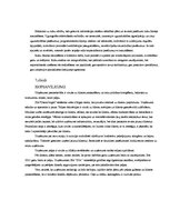 Biznesa plāns 'SIA "DanceToNight"', 60.