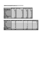 Biznesa plāns 'SIA "DanceToNight"', 80.