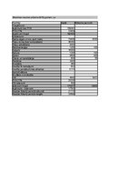 Biznesa plāns 'SIA "DanceToNight"', 95.