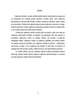 Referāts 'Budžets uzņēmējdarbībā, tā veidi', 2.