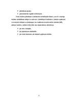 Referāts 'Budžets uzņēmējdarbībā, tā veidi', 9.