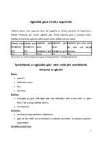 Referāts 'Ogļskābā gāze (oglekļa dioksīds)', 5.