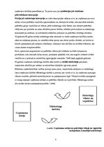 Referāts 'Mārketinga īpatnības viesnīcā "X"', 4.