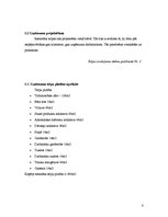 Biznesa plāns 'Jauna ēdināšanas uzņēmuma "Liesmiņa" koncepcijas izstrāde', 8.