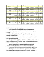 Biznesa plāns 'Jauna ēdināšanas uzņēmuma "Liesmiņa" koncepcijas izstrāde', 13.