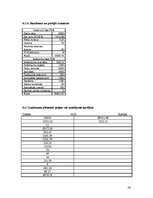 Biznesa plāns 'Jauna ēdināšanas uzņēmuma "Liesmiņa" koncepcijas izstrāde', 26.