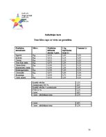 Biznesa plāns 'Jauna ēdināšanas uzņēmuma "Liesmiņa" koncepcijas izstrāde', 33.