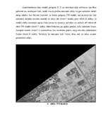 Paraugs 'LiDAR datu izmantošana teritorijas izpētei', 5.