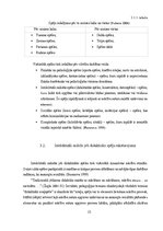 Diplomdarbs 'Didaktiskās spēles kā mācību metodes izmantošanas iespējas sociālo zinību stundā', 22.