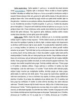 Diplomdarbs 'Didaktiskās spēles kā mācību metodes izmantošanas iespējas sociālo zinību stundā', 37.