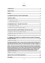 Diplomdarbs 'Jauniešu sociālās dzīves veidošana virtuālajā vidē', 2.