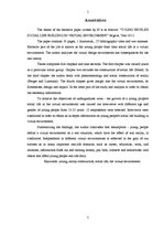 Diplomdarbs 'Jauniešu sociālās dzīves veidošana virtuālajā vidē', 5.