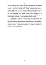 Diplomdarbs 'Jauniešu sociālās dzīves veidošana virtuālajā vidē', 28.