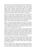 Eseja 'Cilvēka nervu sistēmas uzbūve un funkcijas: anatomijas un fizioloģijas analīze', 2.