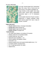 Referāts 'Atkritumu apsaimniekošanas sistēma Valmieras pašvaldībā', 8.