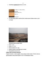 Referāts 'Atkritumu apsaimniekošanas sistēma Valmieras pašvaldībā', 9.