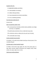 Konspekts 'Starptautiskās kultūras sistēmas', 4.