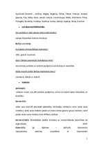 Konspekts 'Starptautiskās kultūras sistēmas', 5.