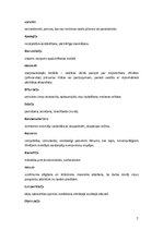 Konspekts 'Starptautiskās kultūras sistēmas', 7.