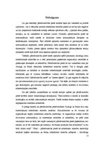 Referāts 'Pārstāvniecība presē, tās nozīme sabiedriskajās attiecībās', 13.