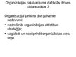 Prezentācija 'Organizācijas dzīves cikls', 10.