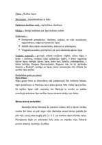 Konspekts 'Integrētās nodarbības konspekts', 2.