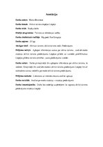 Referāts 'Aktīvā tūrisma iespējas Liepājā', 2.