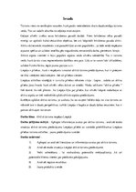 Referāts 'Aktīvā tūrisma iespējas Liepājā', 5.