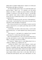 Referāts 'Aktīvā tūrisma iespējas Liepājā', 13.