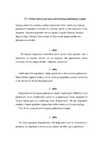 Referāts 'Aktīvā tūrisma iespējas Liepājā', 18.