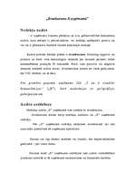 Referāts 'Ievadsaruna X uzņēmumā', 1.