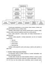 Prakses atskaite 'Prakses atskaite SIA "RIMI Latvia"', 4.