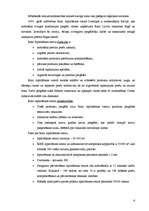 Prakses atskaite 'Prakses atskaite SIA "RIMI Latvia"', 6.