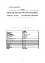 Biznesa plāns 'Jauniešu viesnīca', 10.