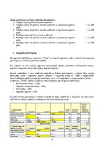 Biznesa plāns 'Metodiskā rokasgrāmata uzņēmējdarbības uzsākšanai', 19.