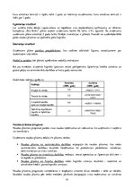 Biznesa plāns 'Metodiskā rokasgrāmata uzņēmējdarbības uzsākšanai', 63.