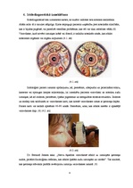 Konspekts 'Iridodiagnostika', 4.