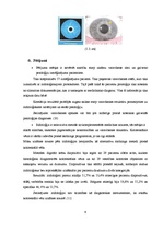 Konspekts 'Iridodiagnostika', 6.