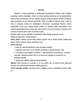 Referāts 'Drošība internetā', 3.