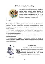 Referāts 'Drošība internetā', 6.