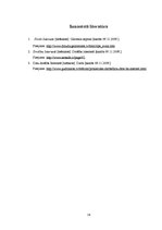 Referāts 'Drošība internetā', 14.