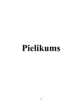 Referāts 'Drošība internetā', 15.