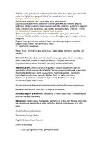 Konspekts 'Sejas un mutes anatomijas konspekts', 3.